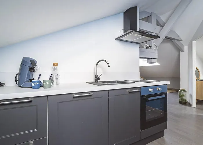 Chic A Reims, Confort & Elegance - Fr-1-870-28 *